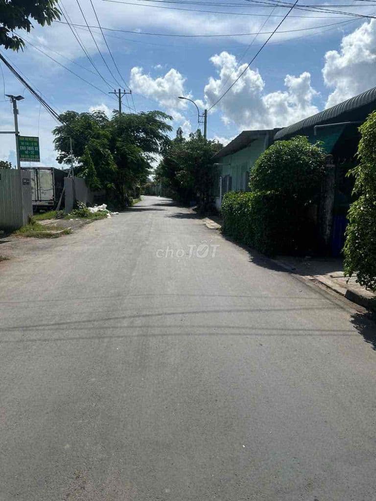 🔥ĐẤT MT NHỰA 10m Thông-5X24m-Gần Chợ Đại Hải - Ảnh 3