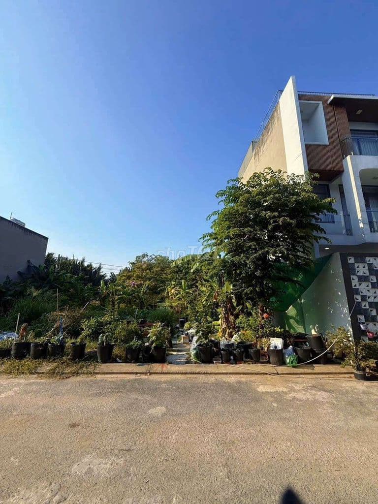 BÁN ĐẤT ĐƯỜNG NGUYỄN CƯ TRINHONG TRƯỜNG NGAY CHỢ ỦY BAN - Ảnh 3