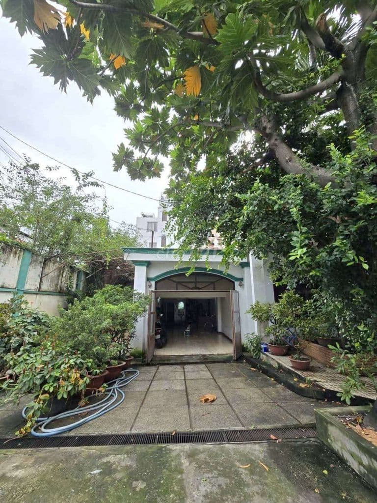 Biệt Thự vườn hô bơi 1037m2 Thổ cư Nguyễn Văn Quá - Ảnh 2