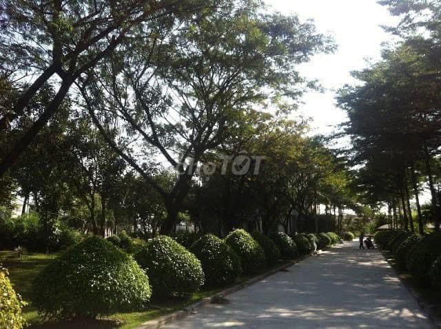 Cần bán cc Tân Tạo Plaza 3 - Ảnh 2