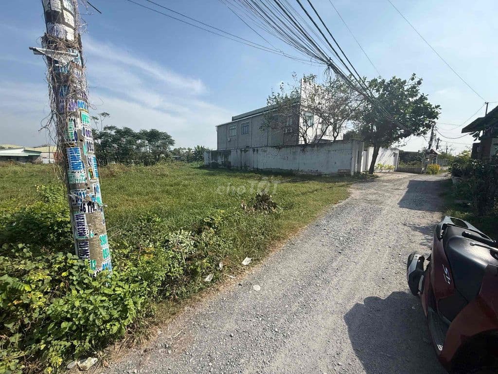 Đất 12x45m . Xuân Thới Sơn 16 . Dương Công Khi & Nguyễn Văn Bứa - Ảnh 2