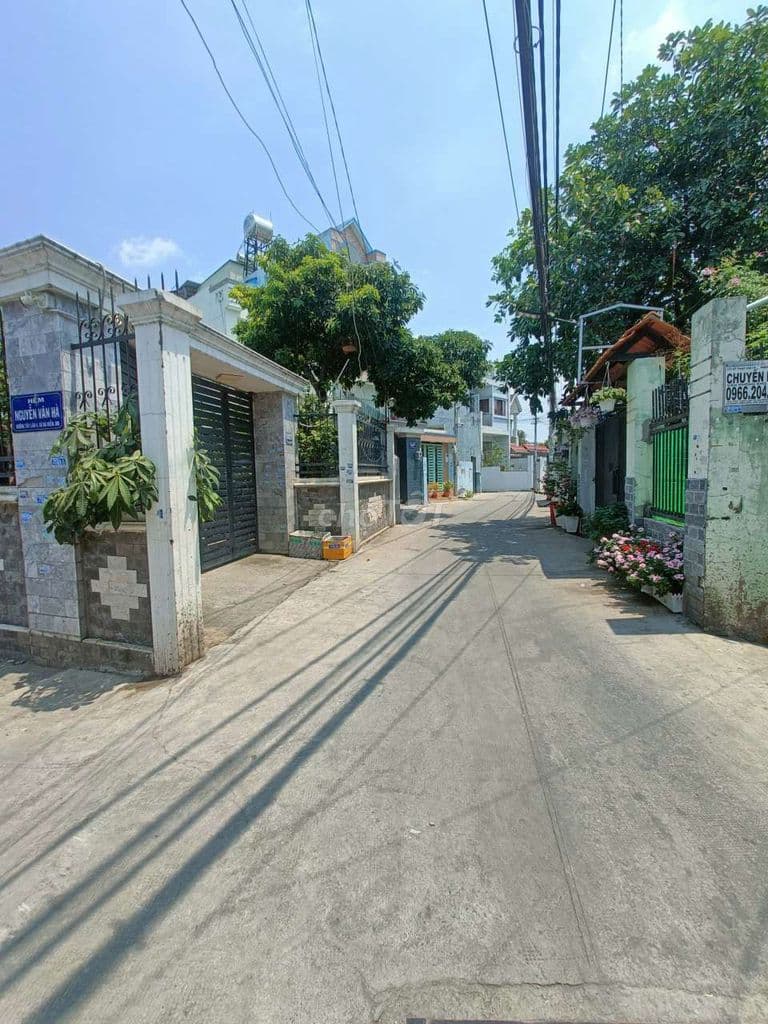 bán đất shr 1/ phan văn hớn 6x22 đường bê tông 5m thông - Ảnh 3