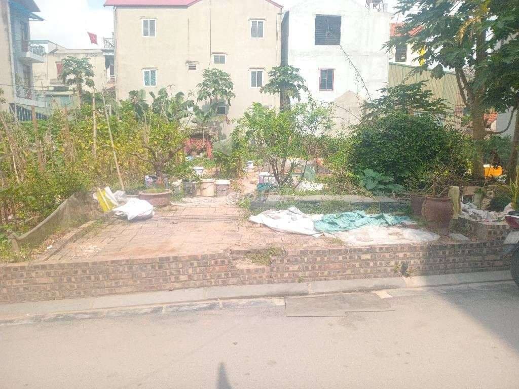 💎 ĐẤT VÀNG ĐÔNG ANH - TỌA ĐỘ SINH LỜI 💎 - Ảnh 2