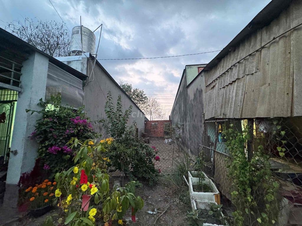 Đát củ chi giá 360 triệu - Ảnh 2