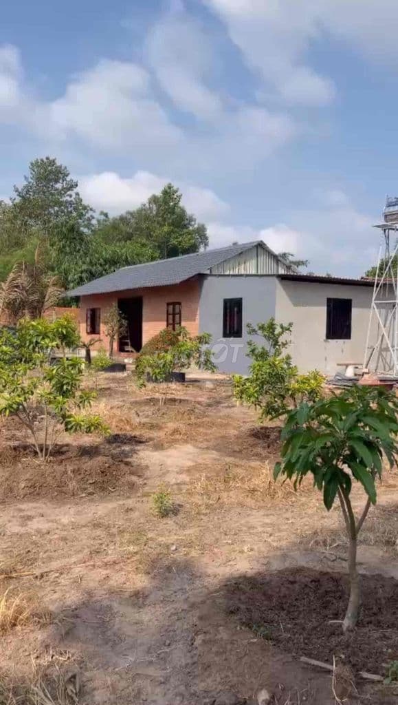 Bán Nhà Vườn 1600m2 quy hoach KDCSX. oto tới nơi giá 2T9