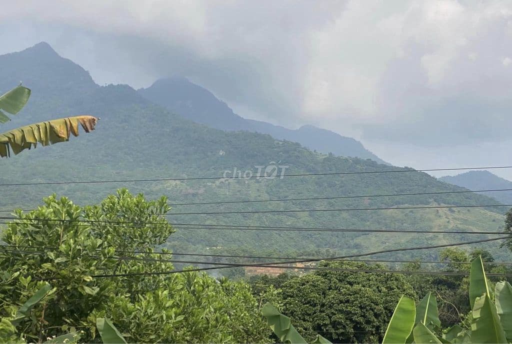 Chính chủ bán đất 11m mặt đường tỉnh lộ ĐT415, Minh Quang - Ảnh 2