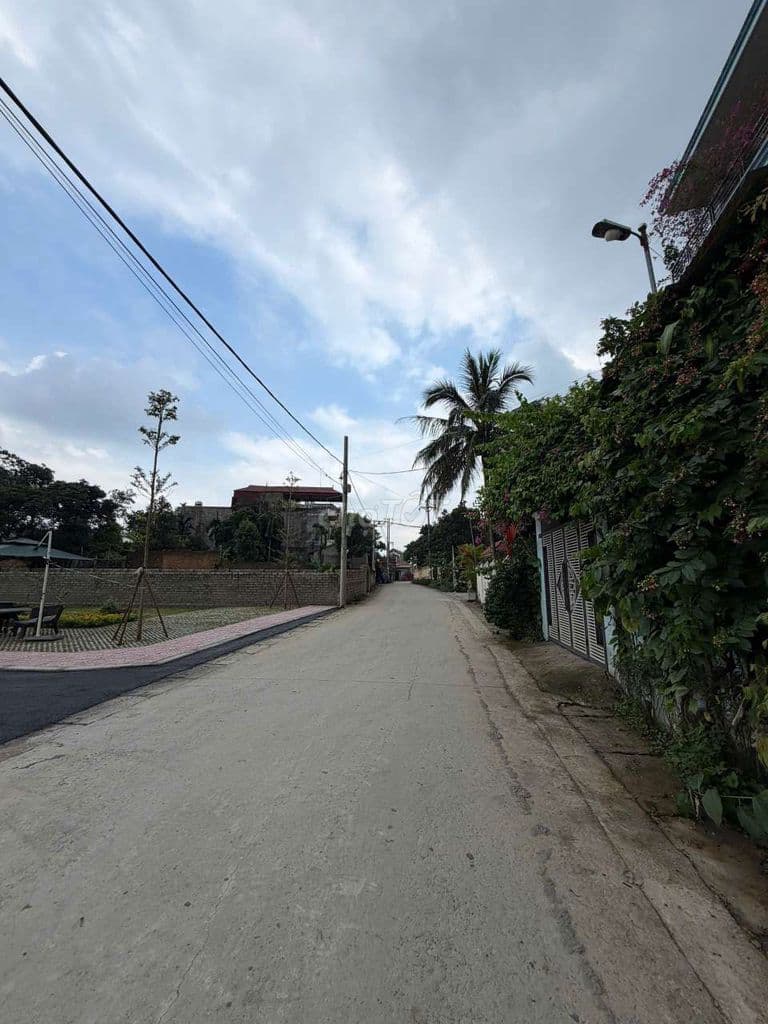 Đất 100m² Cổng 8 ĐHQG Hà Nội, Dân Đông, Xây Trọ Ngay - Ảnh 3