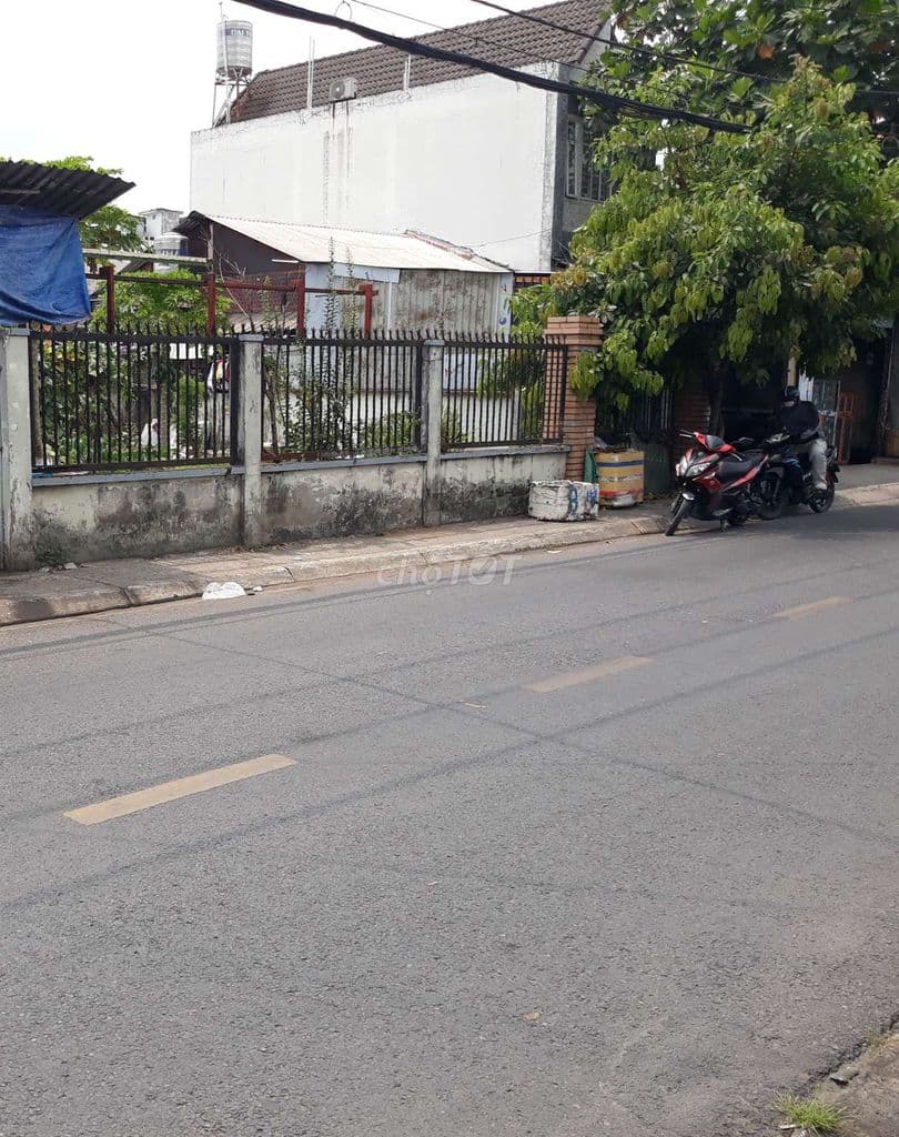 Đất Mặt Tiền 👉 514 m2 - Đã Có 1 Phần Thổ Cư - Gần Nhà Thờ Tân Đông