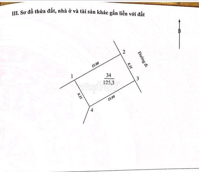 BÁN ĐẤT TẶNG NHÀ GẦN CÔNG VIÊN HÒA BÌNH -MẶT PHỐ VÍP- K.DOANH SẦM UẤT. - Ảnh 3