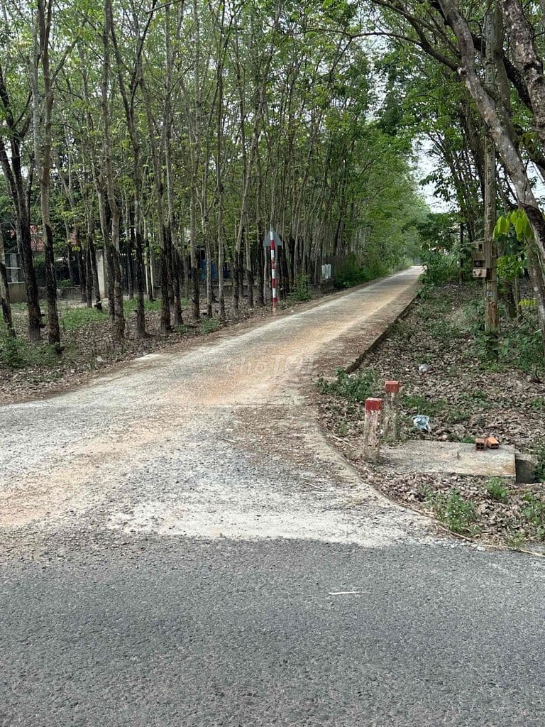 Đất Suối dây 1.750m2 - Ảnh 3