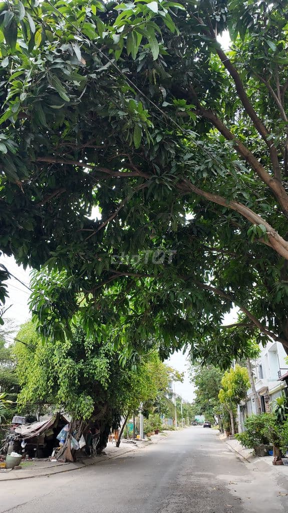 Bán Đất Khu Dân Cư An Sương | 4.5m x 20m | Sát Công Viên - Ảnh 2