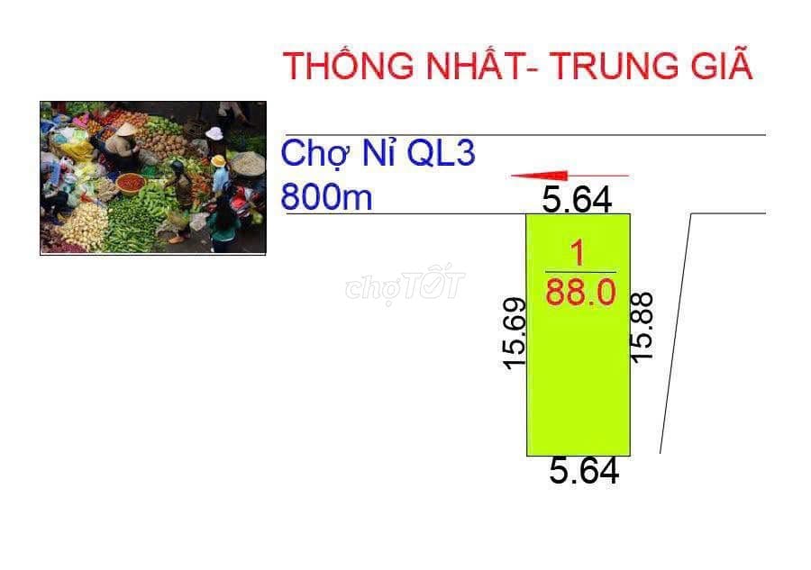 Bán đất lô góc full thổ cư Trung Giã, Sóc Sơn, Hà Nội - chỉ nhỉnh 1 tỷ - Ảnh 2