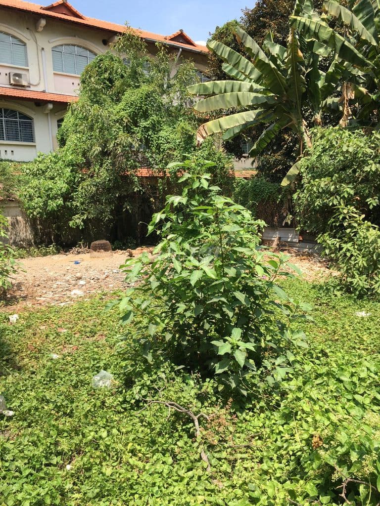 BÁN 115M ĐẤT PHƯỜNG THẢO ĐIỀN QUẬN 2 GIÁ 15 TỶ - Ảnh 2