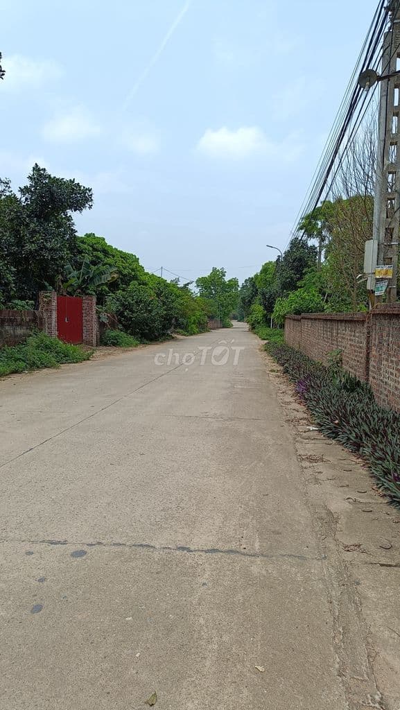 Đất mặt đường liên xã 950m2, MT13m, lô góc, chính chủ - Ảnh 2