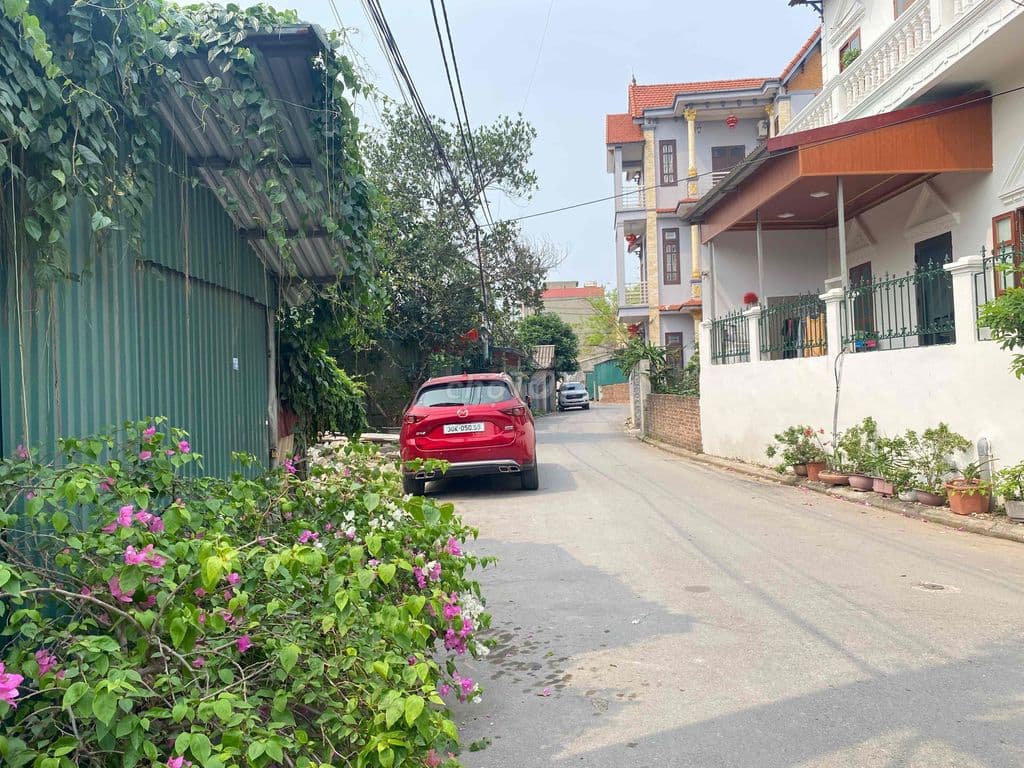 Xuân Canh - Đông Anh - Ảnh 2