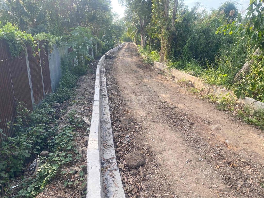 chính chủ gửi lo đất mặt tiền xông (13.5x82 ) giá 15 tỷ - Ảnh 3