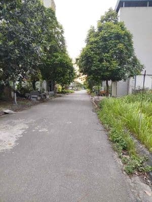 Hơn 6 tỷ-Đất dịch vụ Đồng Mai-cạnh khu sinh thái - Ảnh 3
