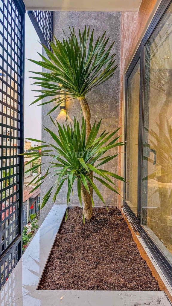 NHÀ PHỐ XÂY MỚI VỊ TRÍ ĐẸP THỚI AN 19 FULL NT CAO CẤP - Ảnh 3