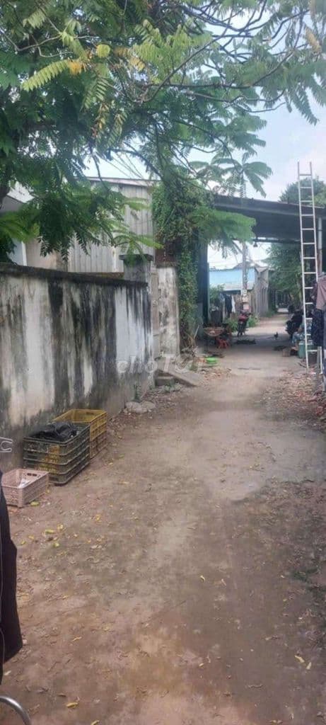 Bán đất đường Trịnh thị Miếng Hóc Môn - Ảnh 3