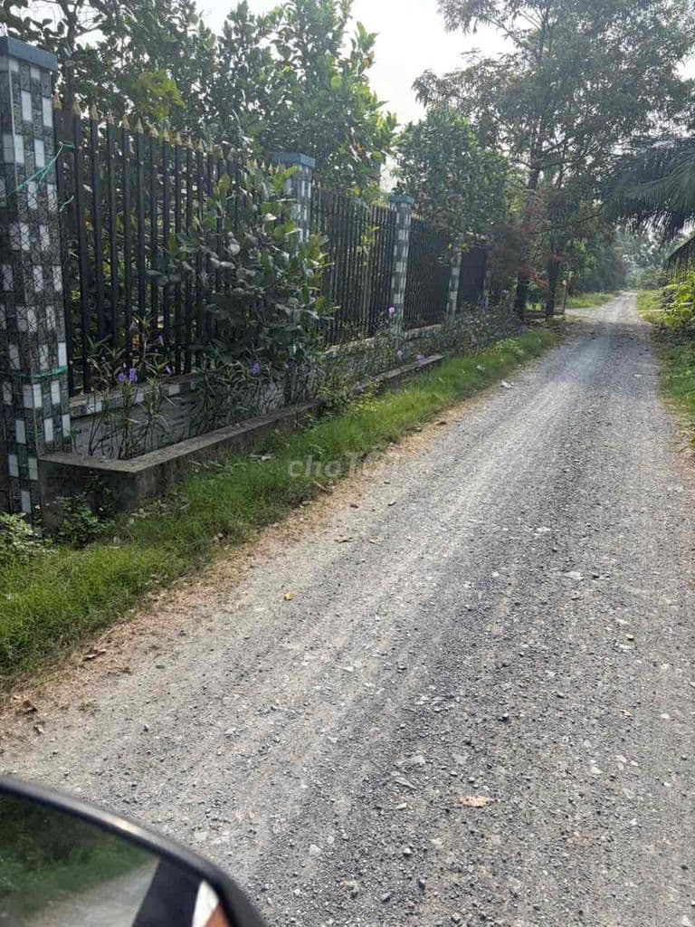 Cần tiền bán mảnh đất vườn Tân Nhựt, 2 mặt tiền, sát nhà dân khu đông - Ảnh 2