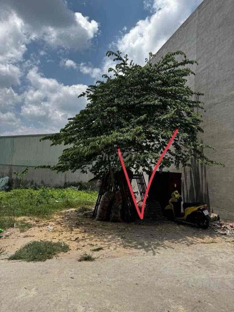 Bán đất hẻm xe hơi đường cây cám, Bình tân