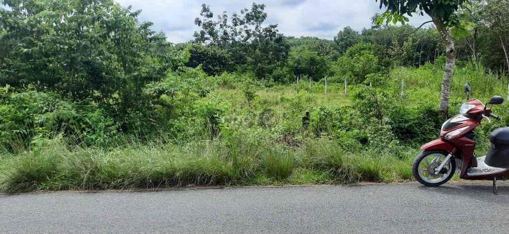 cần bán lô đất Mt đường 762 - Ảnh 2