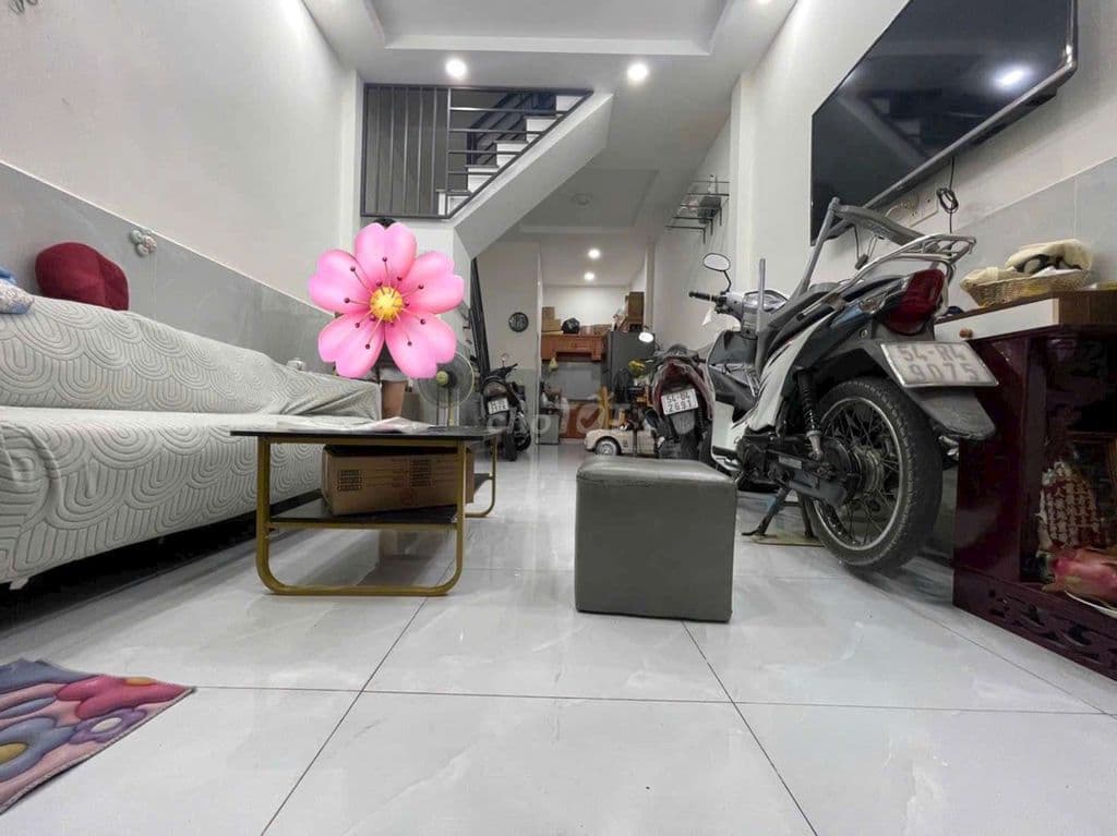 chính phủ - Ảnh 3