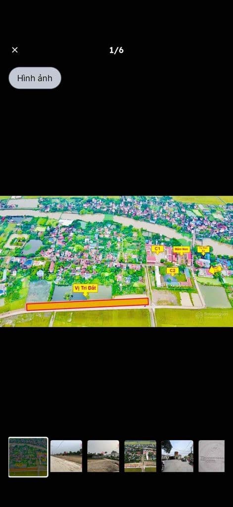 bán đất đấu giá - - Ảnh 2
