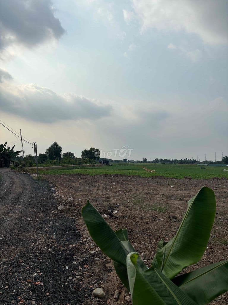 Đất Vườn Đông Thạnh - Ảnh 3