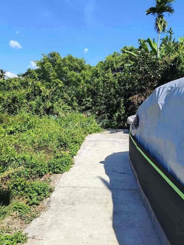 ‼️Bán Đất Thổ Cư Rẻ Như Đất Lúa‼️ -85m² - Ảnh 3