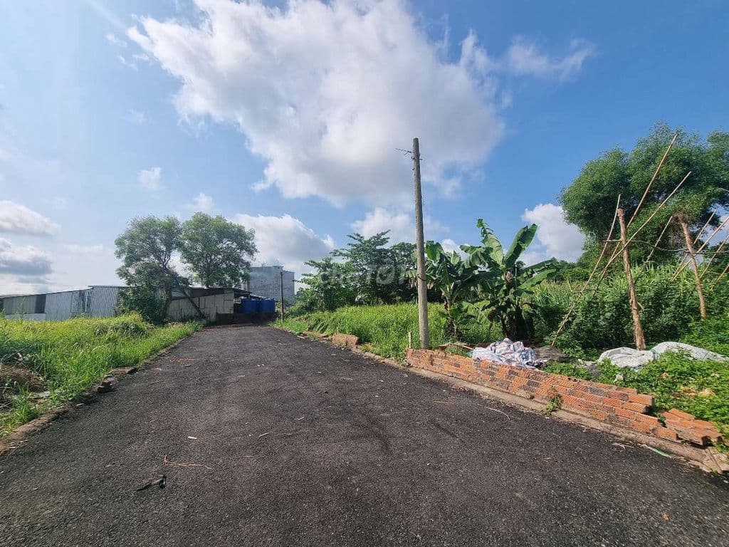 123m2 full thổ cư chỉ 4,4 tỷ sát MT Lê Văn Lương xây 4 lầu - Ảnh 3