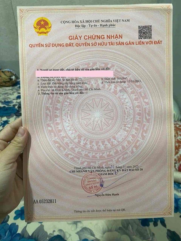 bán đất ở 161m2 đường trần quang quờn xã bình khánh - Ảnh 2