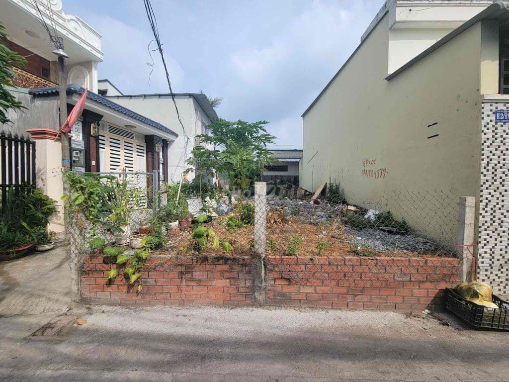 Lô đất 59m² Tân Túc – Hẻm xe tải Nguyễn Hữu Trí – Giá tốt hiếm có - Ảnh 3