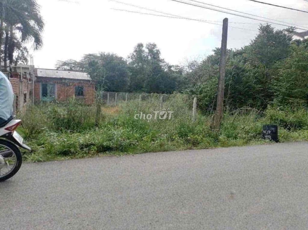 Bán đất Mặt tiền 291m2