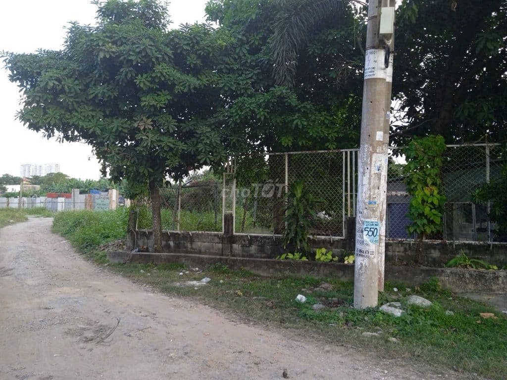 Bán đất mặt đường vành đai 2 - Ảnh 2