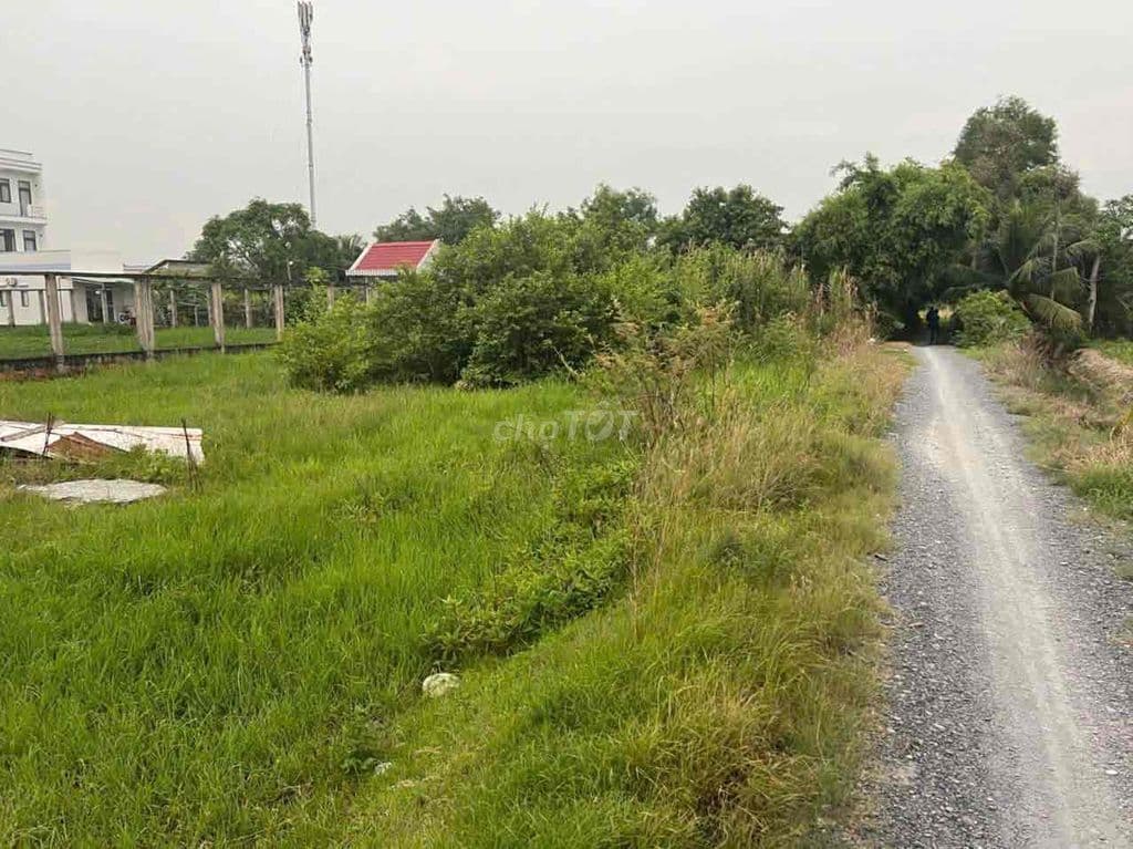 ĐẤT XÃ TÂN QUÝ TÂY - Ảnh 2