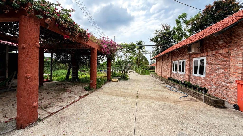 Bán gấp khu đất du lịch(cánh đồng hoa thiên thai) 10.000m2