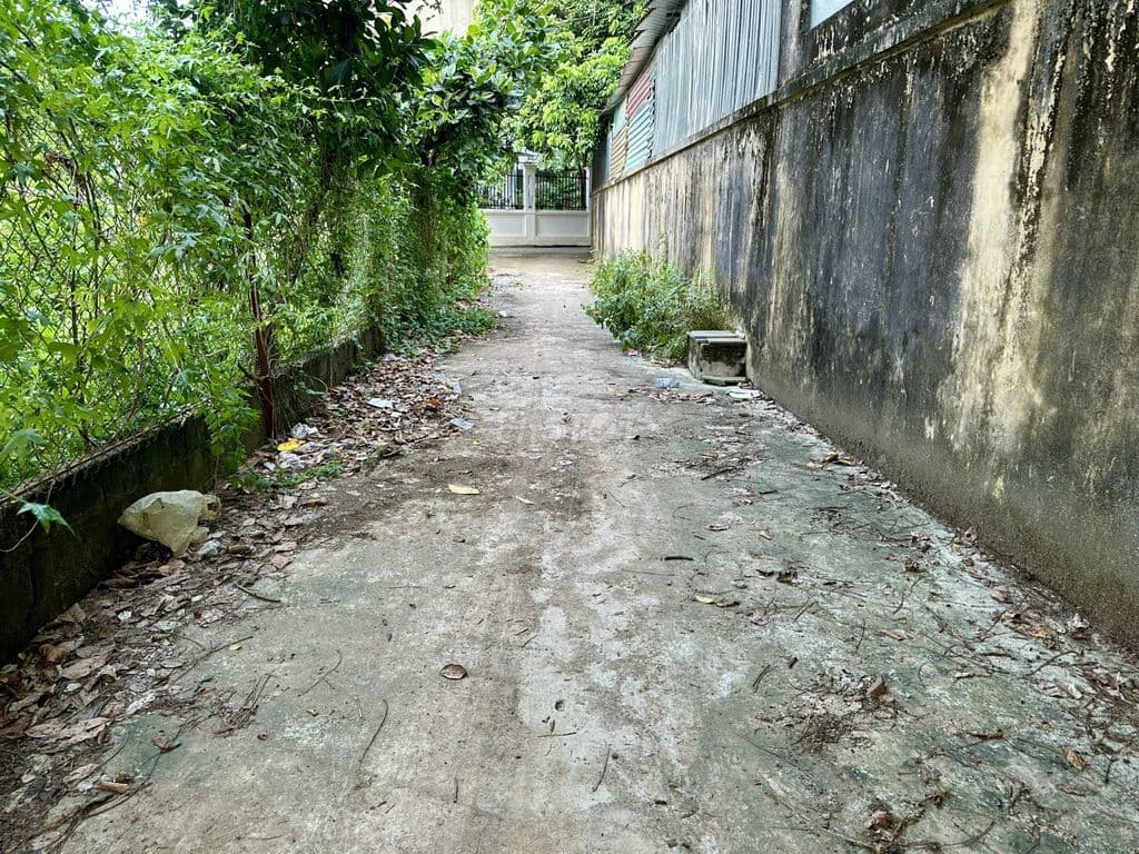 Bán 131m2 đất Đồi 1, Đông Phương Yên, Chương Mỹ - Cách QL6 chỉ 100m - Ảnh 2