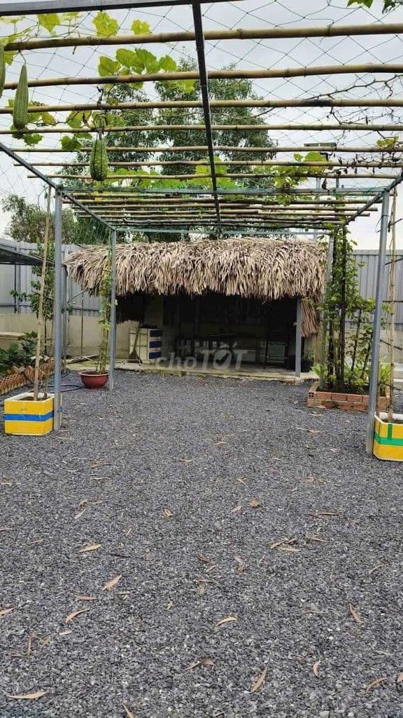 Đất sổ đỏ riêng 200m gần chợ Hóc Môn - Ảnh 2