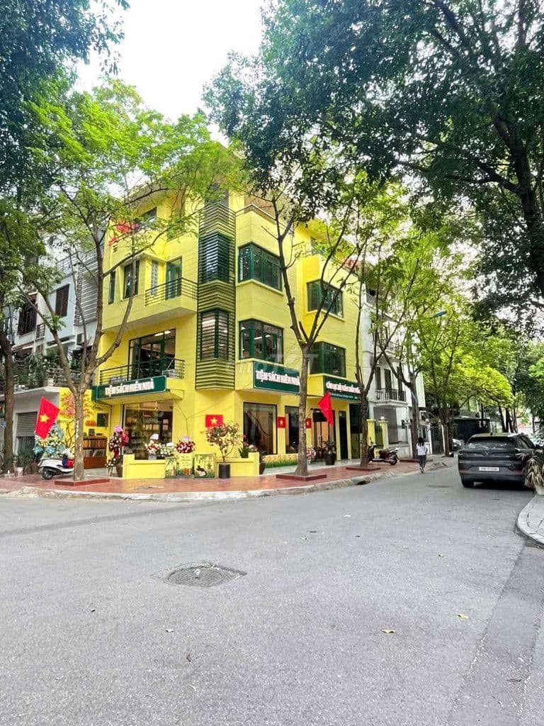 105m2 Lô Góc, Phố víp xala - Hà Đông. Phân lô, vỉ hè , oto tránh - Ảnh 2