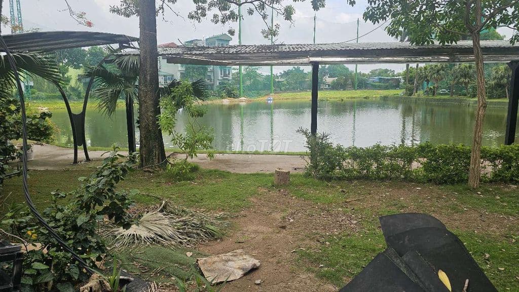 View Hồ Bồ Đề Phú Viên Long Biên 765m2 63 Tỷ mặt tiền 22m - Ảnh 2