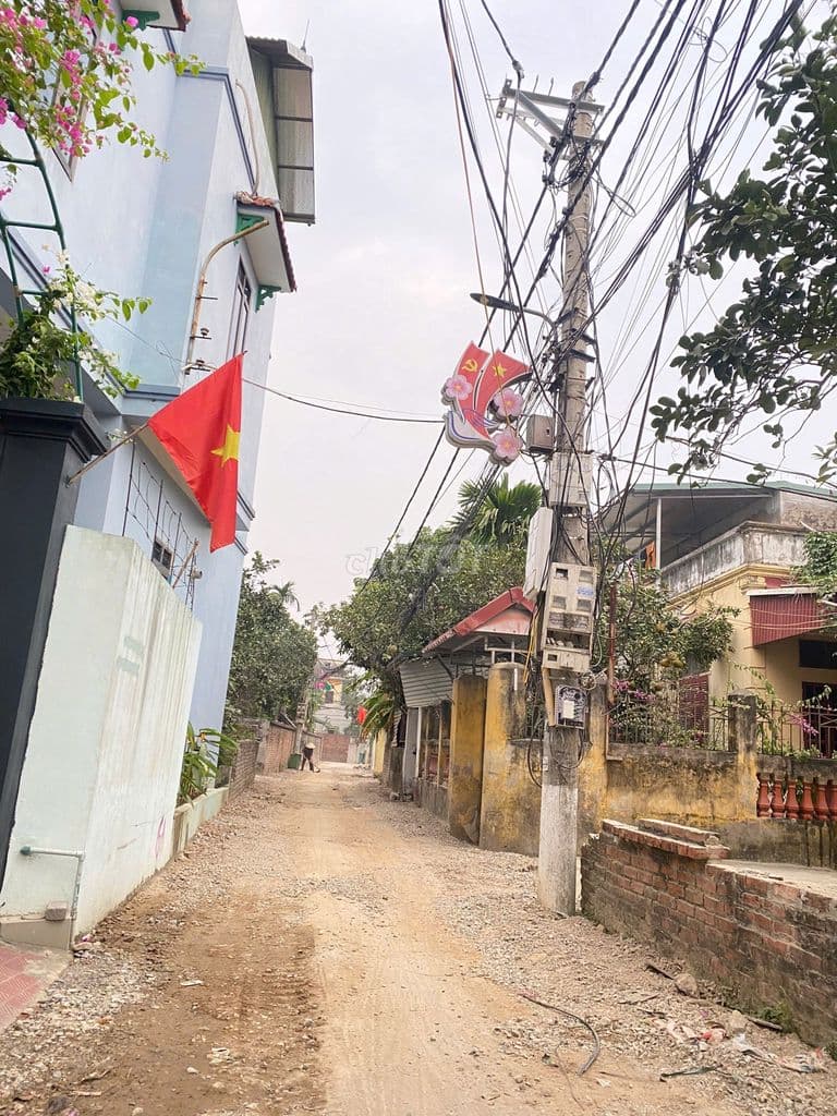 Đât sổ đỏ 50m2 xóm 4 Hải Bối , Đông Anh - Ảnh 2