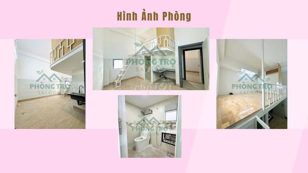 BÁN CHDV Hồ Văn Long - 37 Phòng - 21 TỶ 800 - DOANH THU 210TR/THÁNG - Ảnh 3