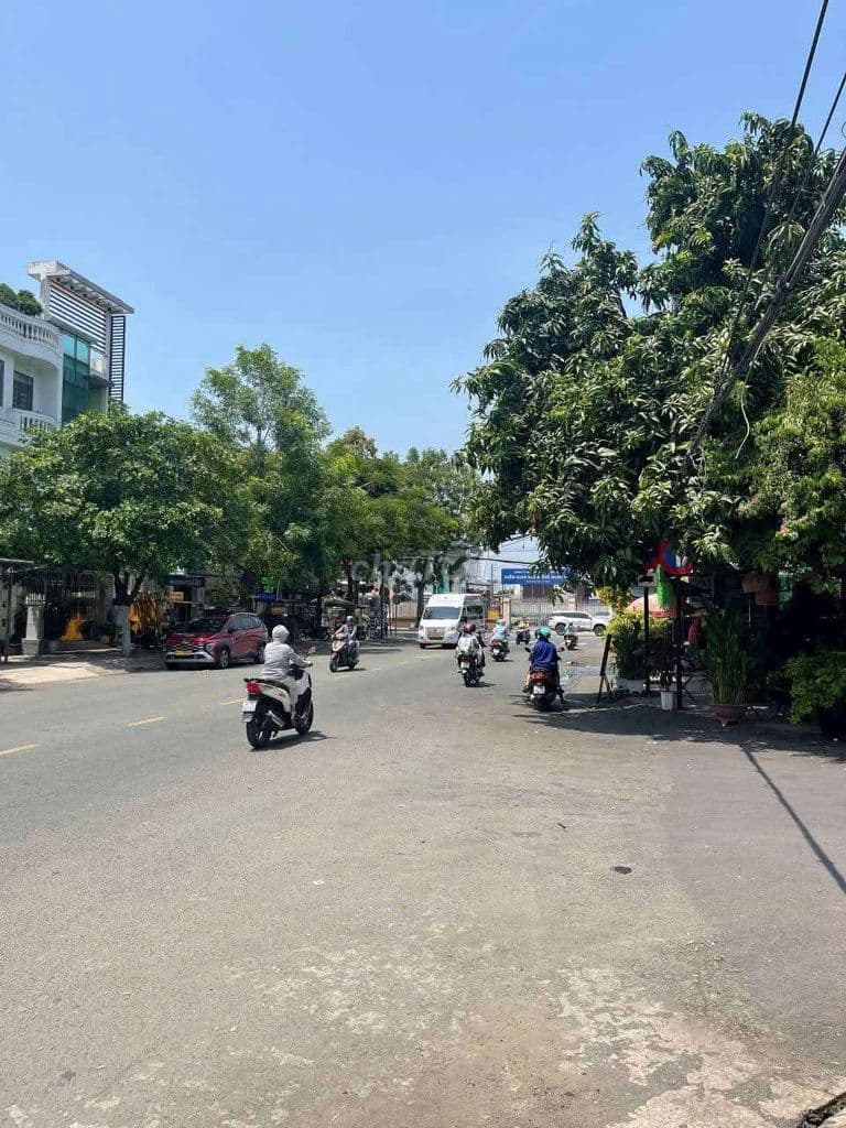 Biệt thự 10m x 20m. 3 tầng MT đường 30m Khu Biệt Thự Phú Nhuận - Ảnh 3