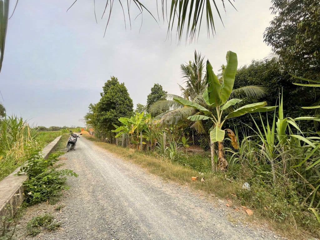 Ngộp 456m👉300đất ở mặt tiền sông mát mẻ vườn sẳn măng cụt,sầu riêng - Ảnh 2