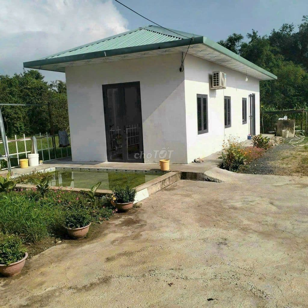 Giảm giá sâu, nhà vườn Cute, dt 1.036m2, có 955m thổ cư, xã Thái Mỹ - Ảnh 3