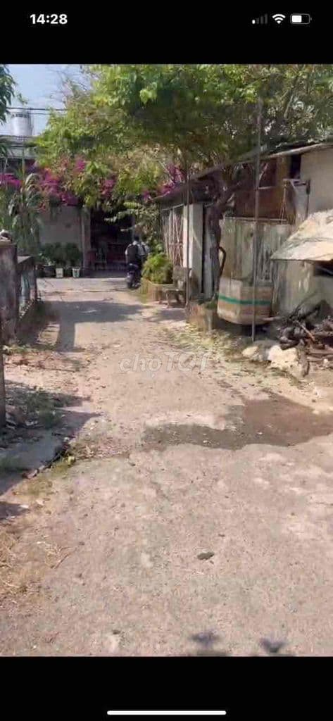 234 m hem Nguyen Thi Ngau - Ảnh 3