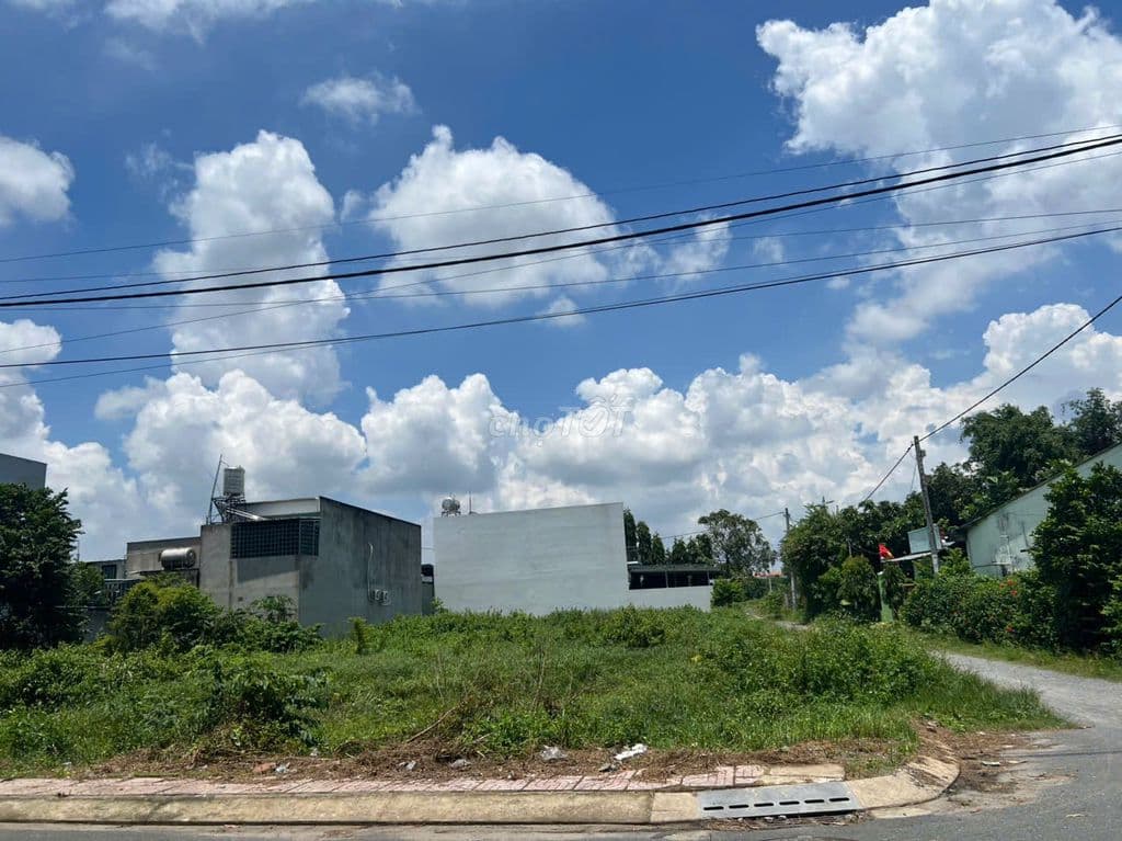 Lô góc thị trấn Củ Chi 210m2 SHR chủ gửi chỉ 720 triệu có thổ cư - Ảnh 3