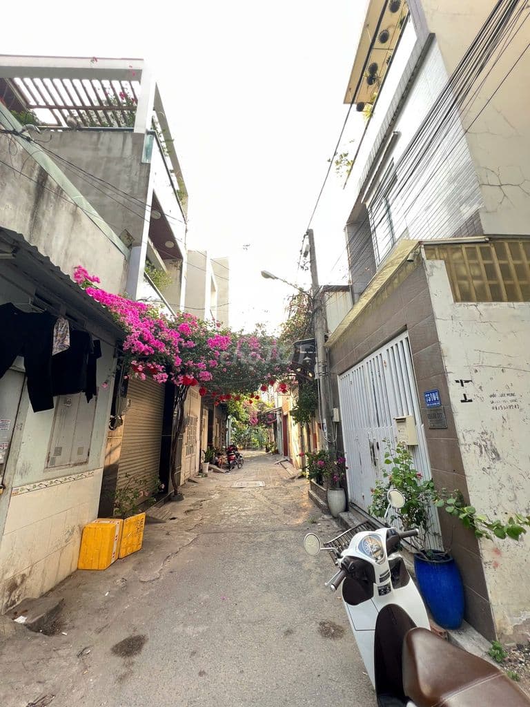 Đất siêu sạch - Ảnh 2