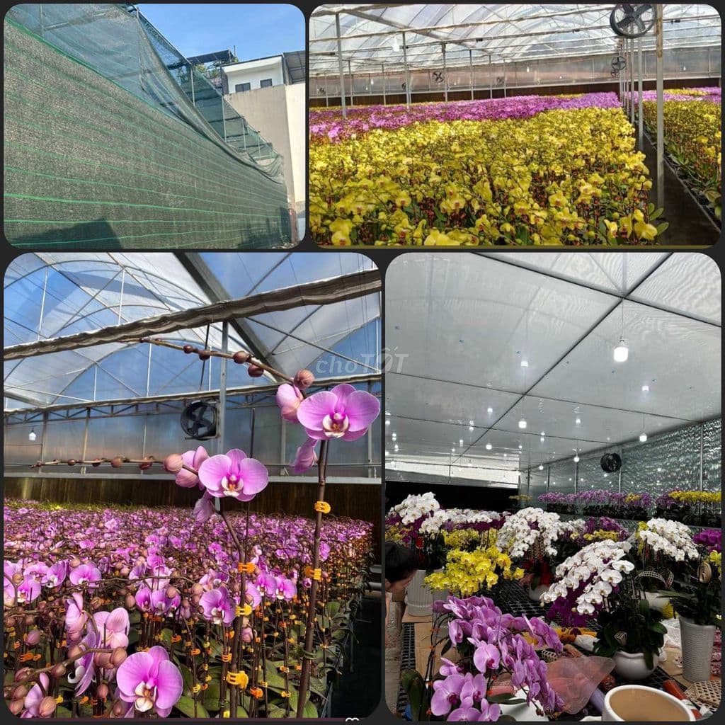 Sổ bank giảm 5 tỷ | 60 tỷ mt kinh doanh hbc pvđ | ưu tiên mg vip nhắn